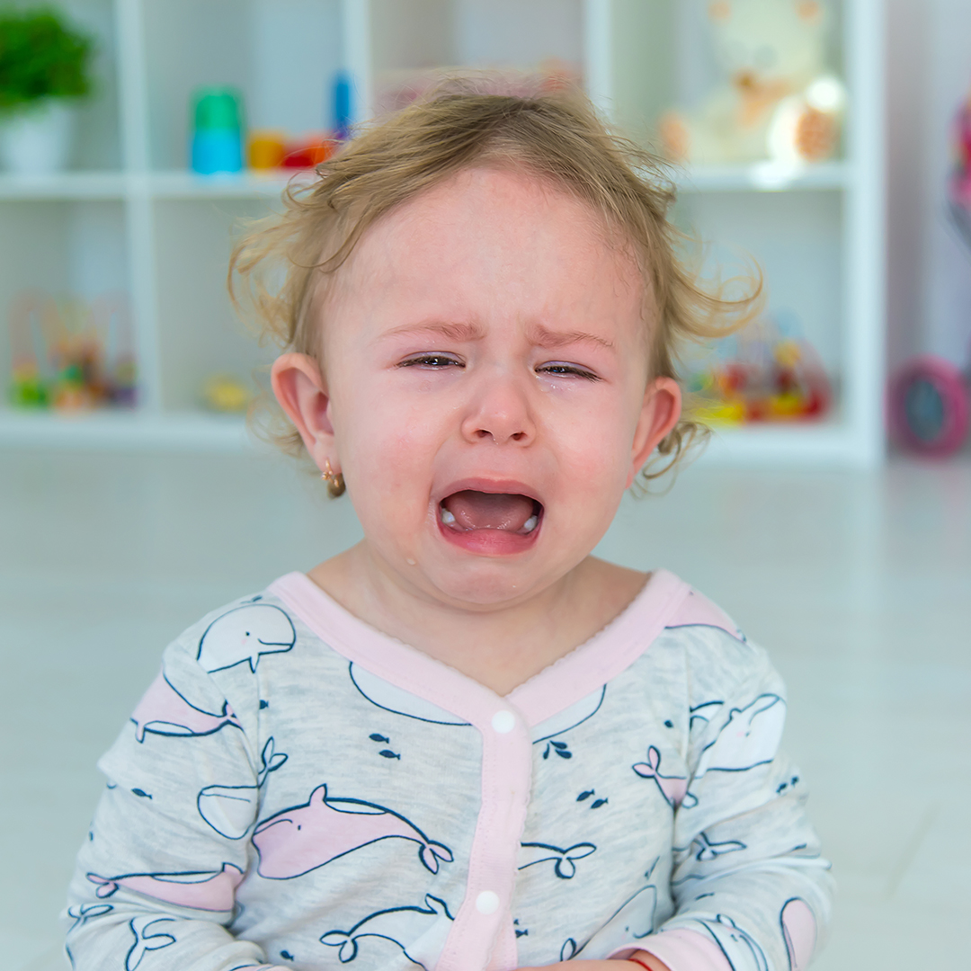 dentición dolor rechazo alimentos