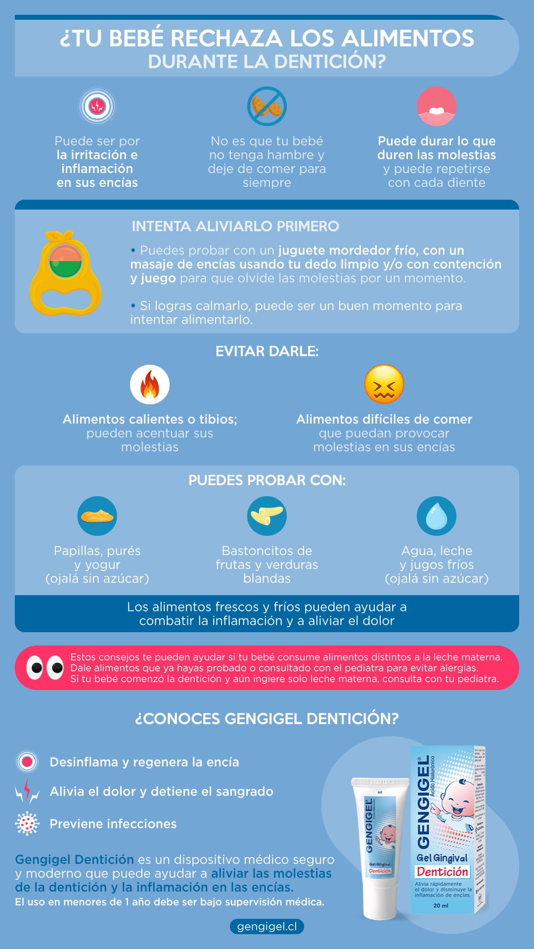alimentos dentición resumen
