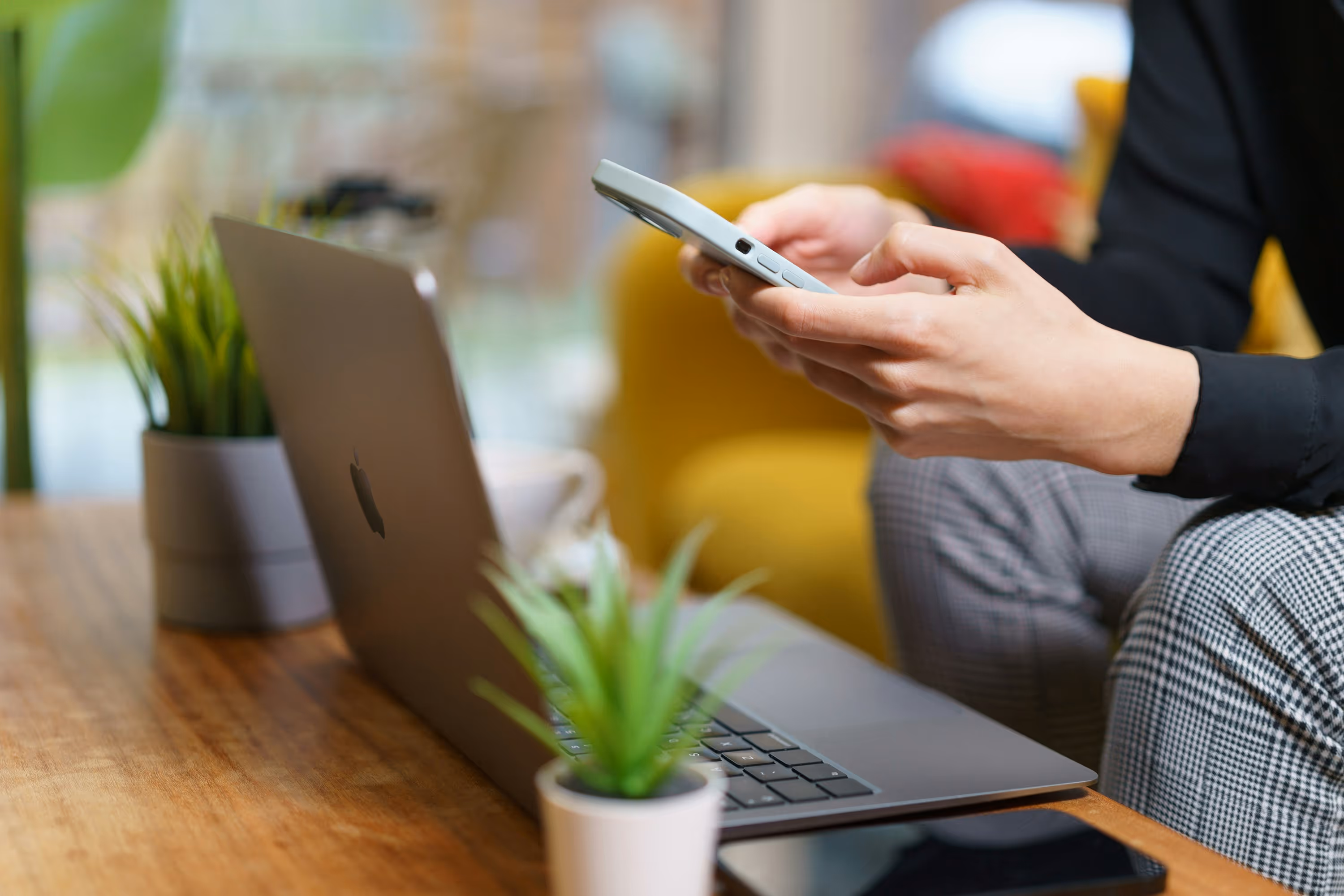 Person holding a smartphone next to a laptop and small potted plants on a wooden table.