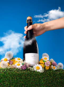 Artisans du terroir Artisans Vignoble Photo Photoshoot Le Bouquet Set Design Retouche