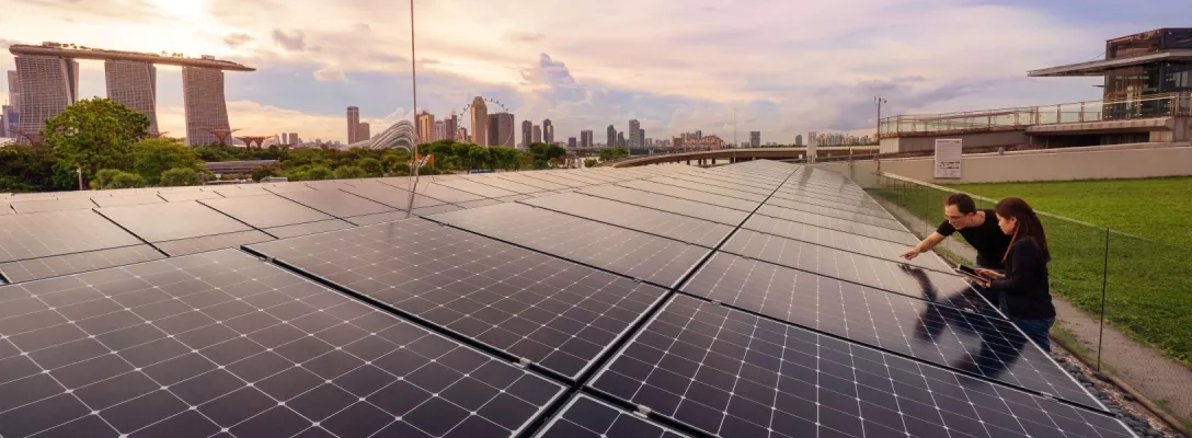 Shopping for Solar? Here’s how to make the most sustainable choice for your home