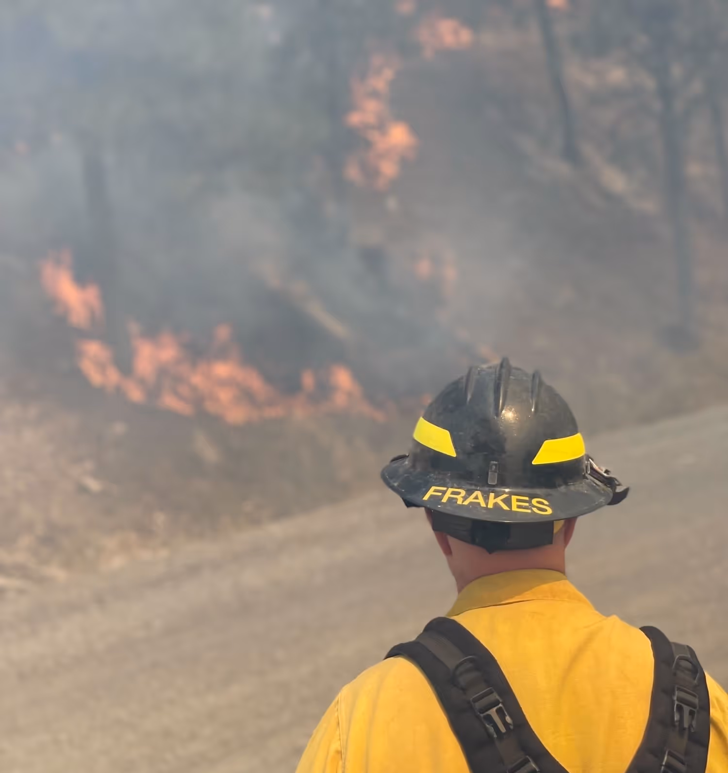 Wildland firefighter in yellow gear watching a brush fire near a forested roadside.