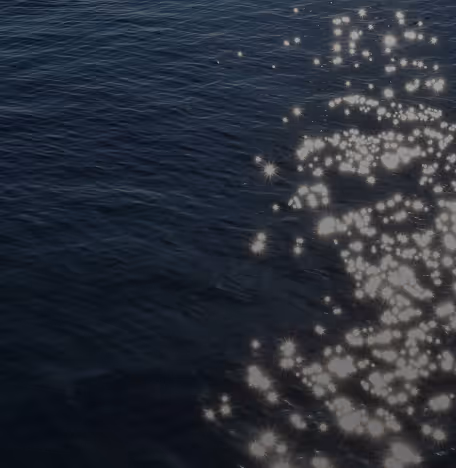 sunlight sparkling on water