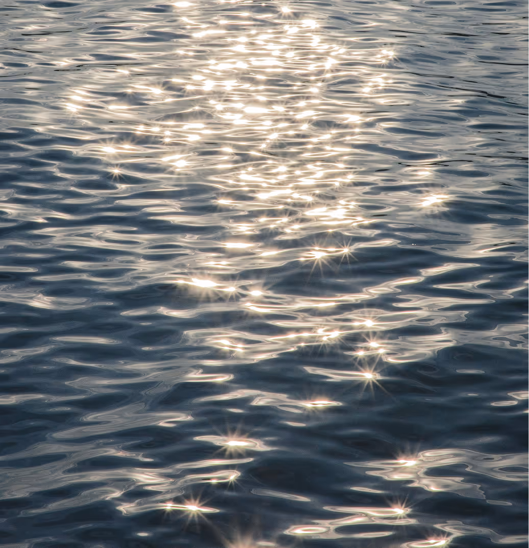 Sunlight on sparkling water