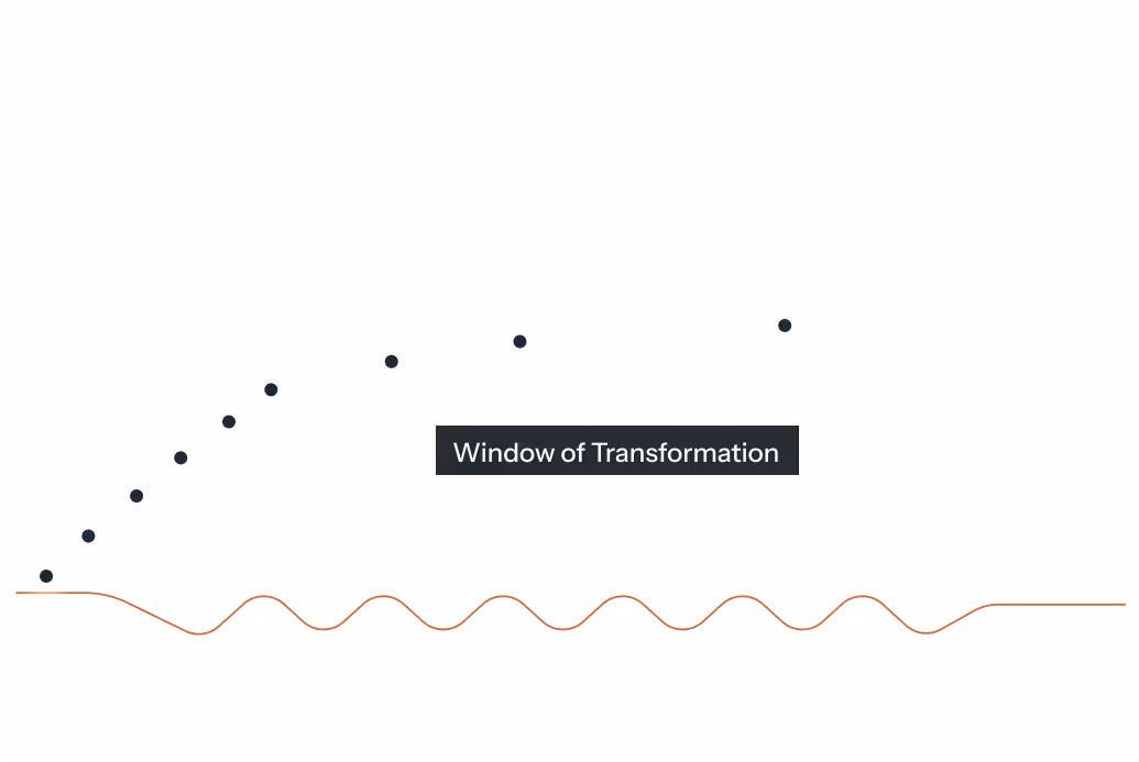 Window of Transformation diagram