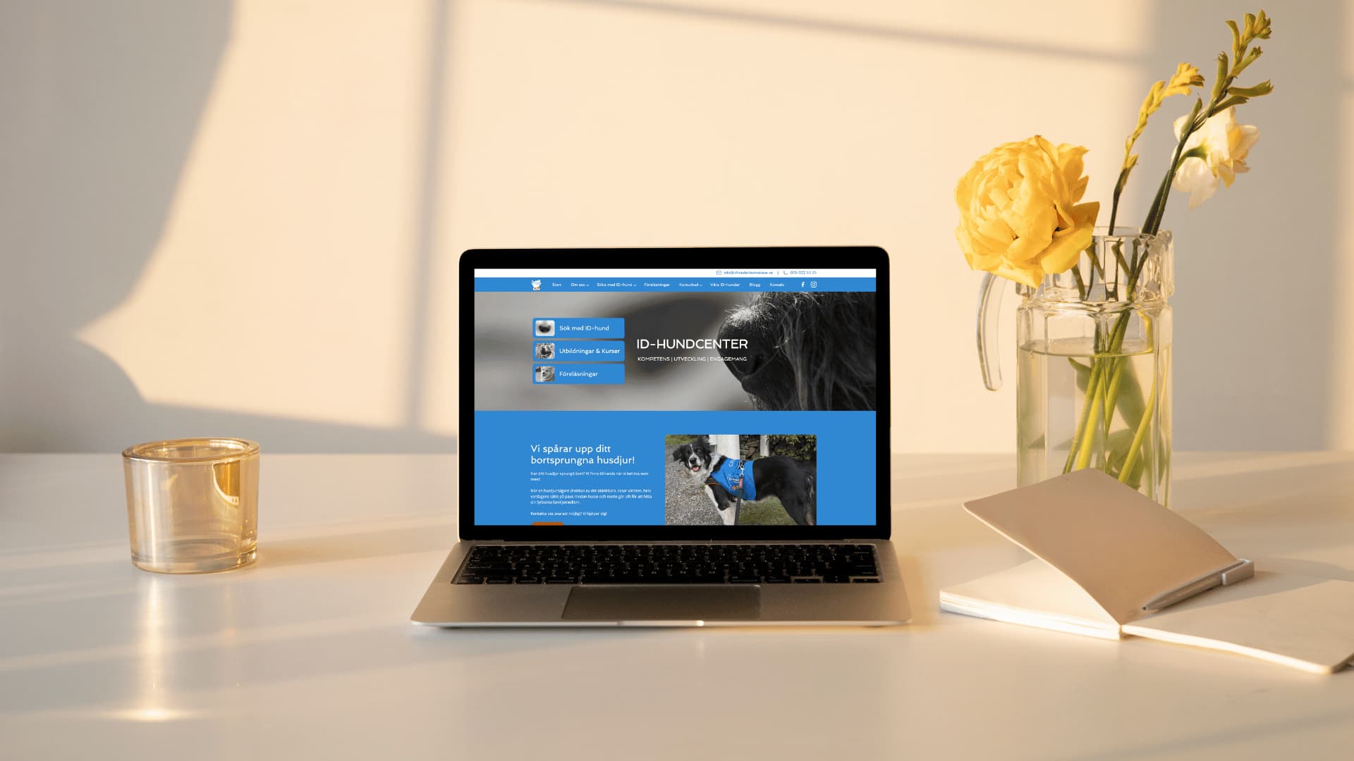 Lomi petcare mockup image