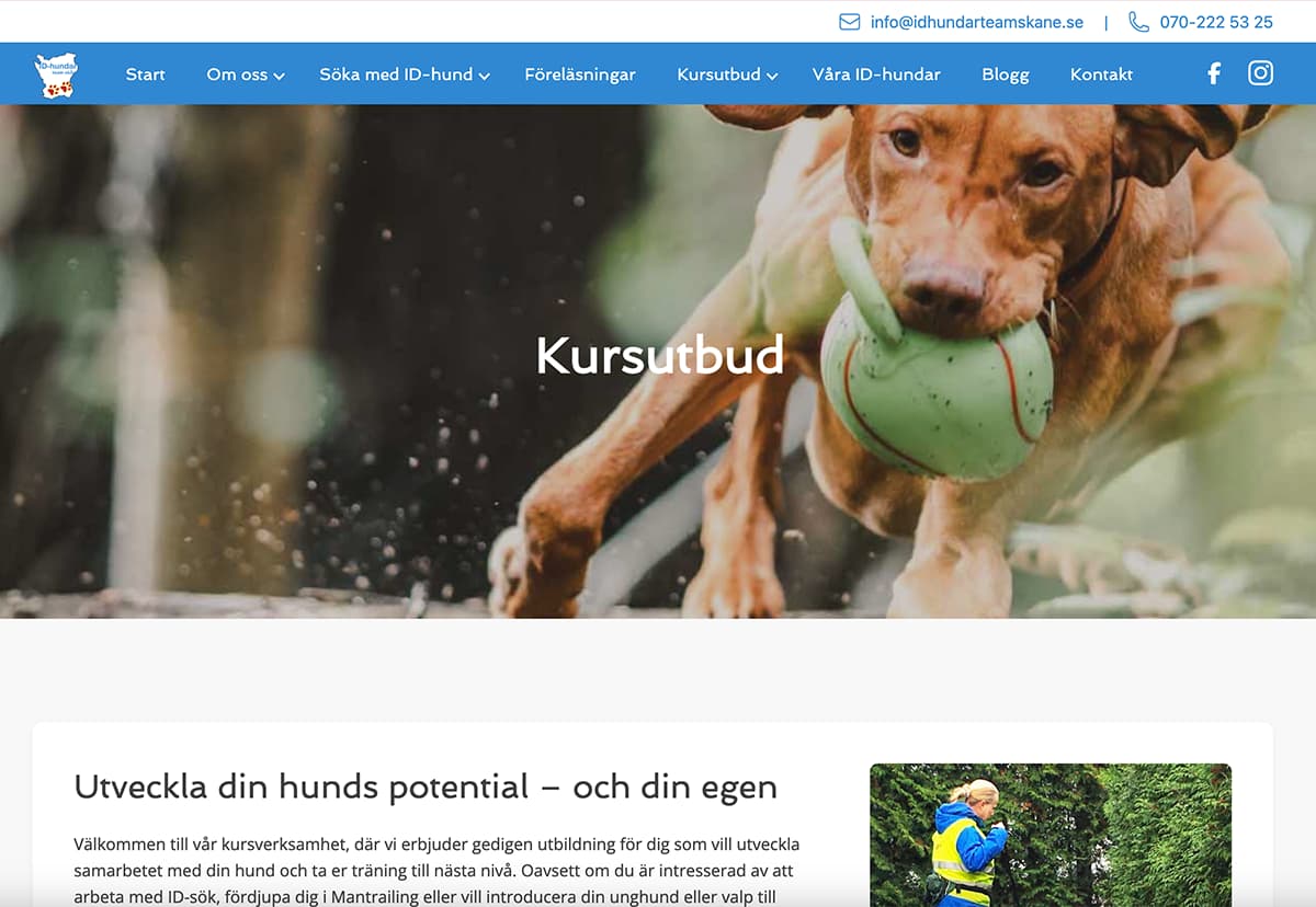 Lomi Petcare persona