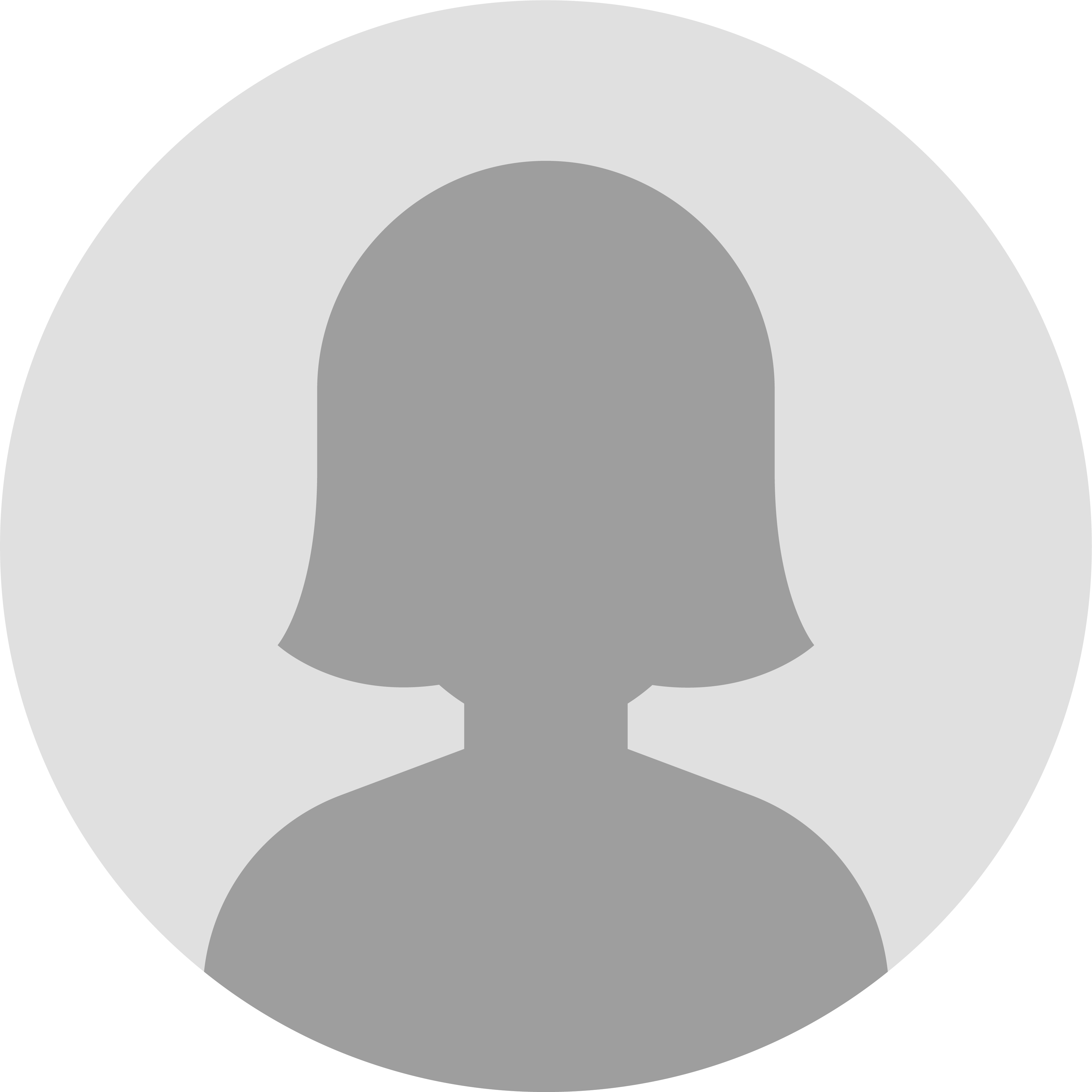 Testimonial Lomi Pet Care