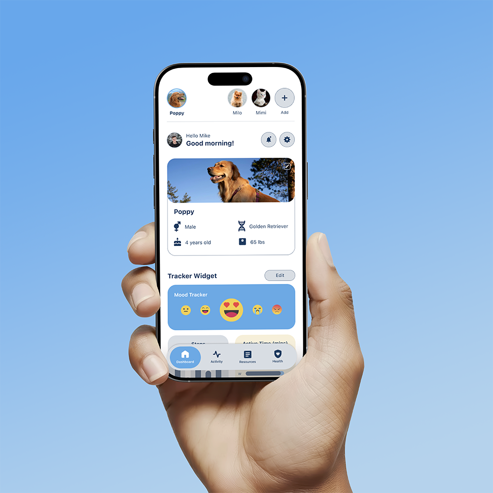 Pawcare app project designed by Minh Doan