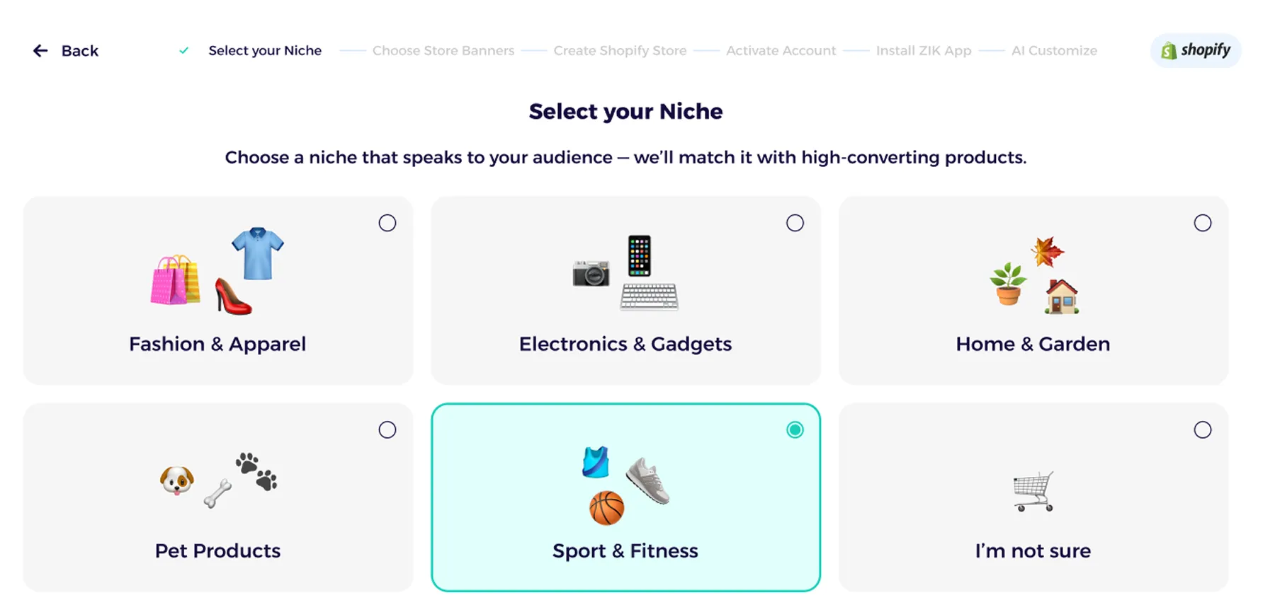 shopify ai store builder select your niche