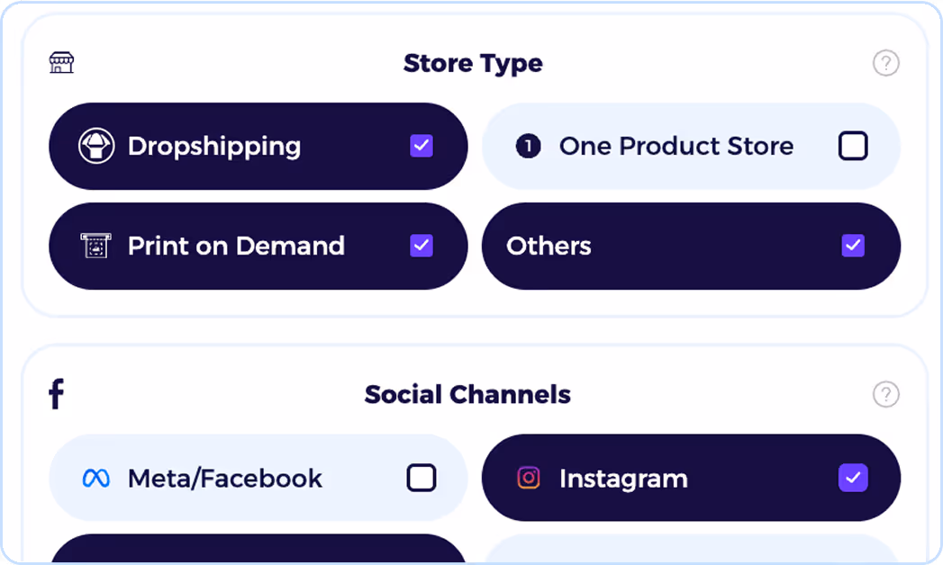 dropshipping website builder with shopify store finder