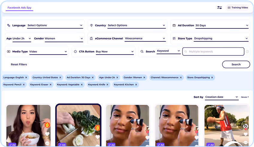 dropshipping website builder with adspy