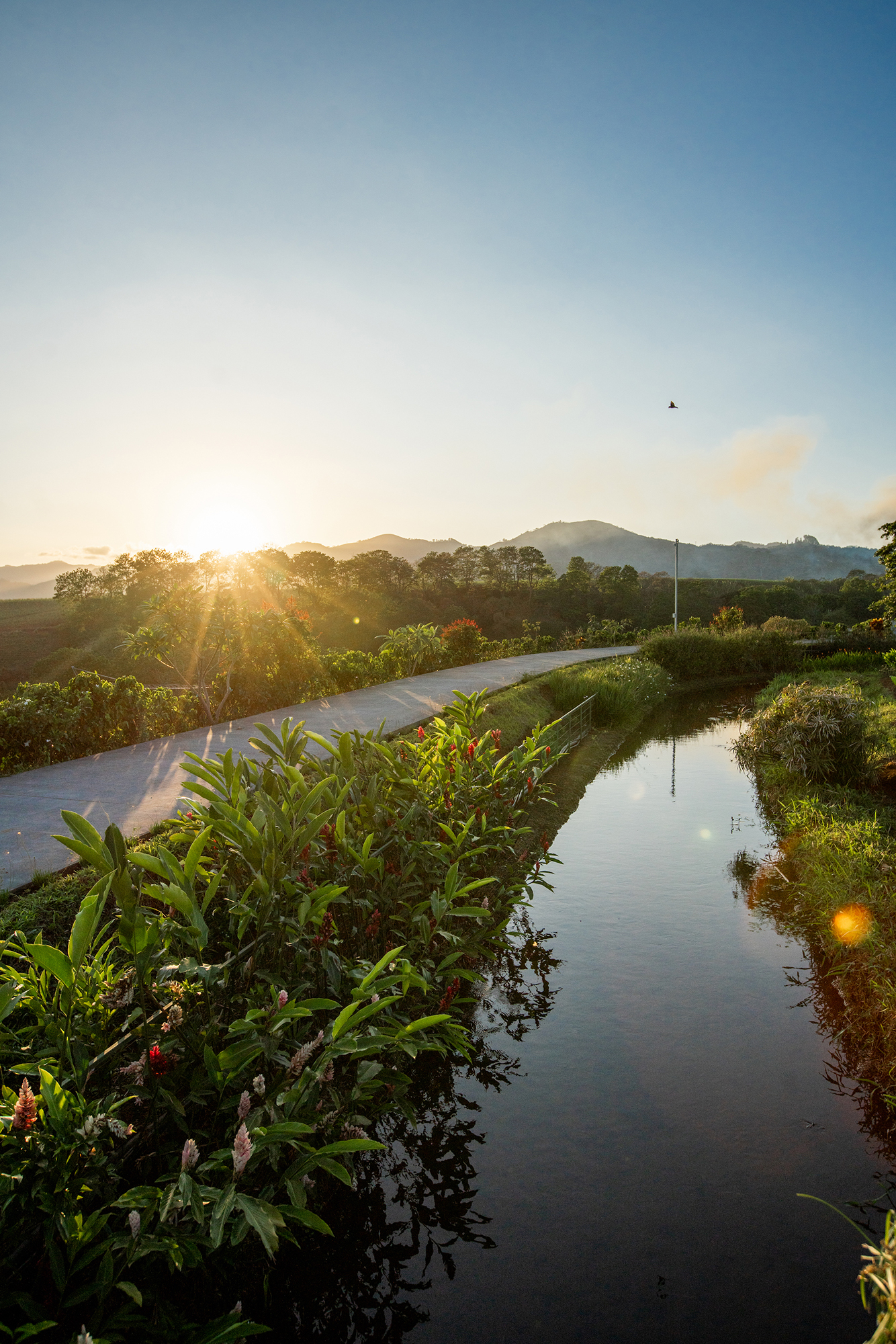 image of company headquarters (for an entertainment company)