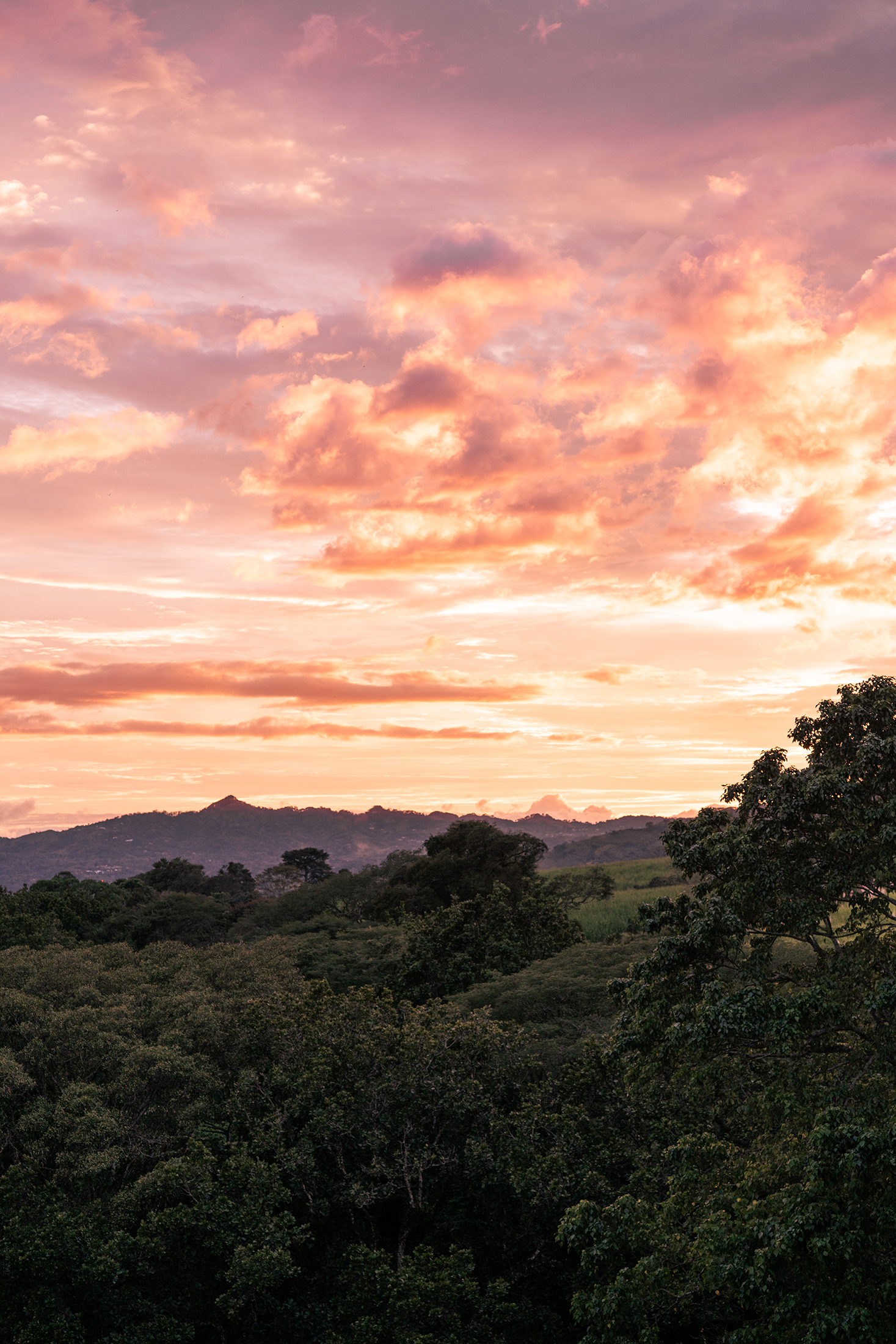 image of balcony view (for a bed & breakfast)