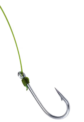 Fish hook