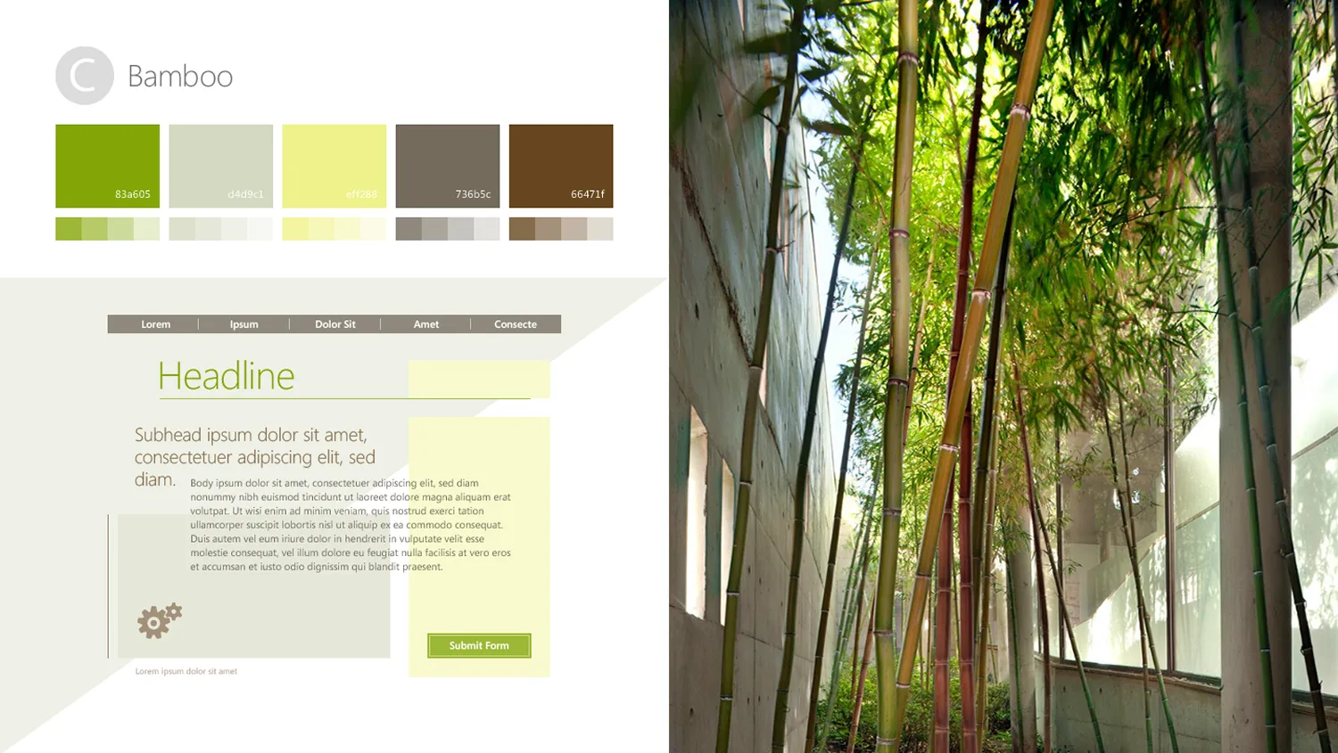 Tall bamboo stalks growing between concrete walls under natural light.