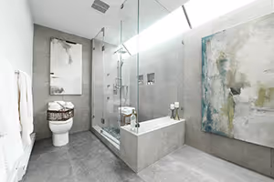 ensuite with a walk-in shower and a toilet with a skylight.