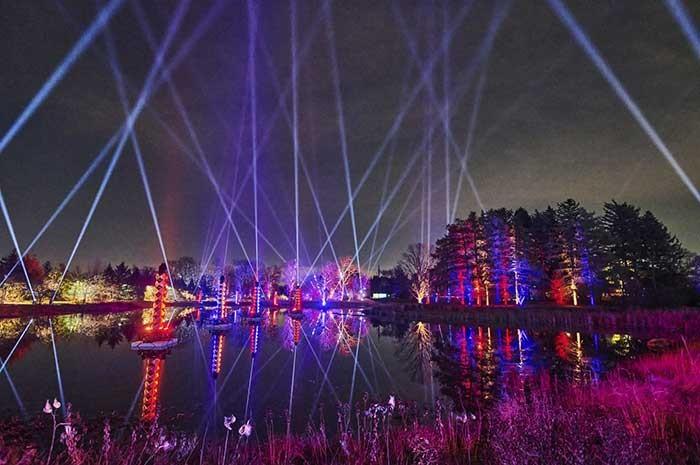 Tree Lights Exhibit 1