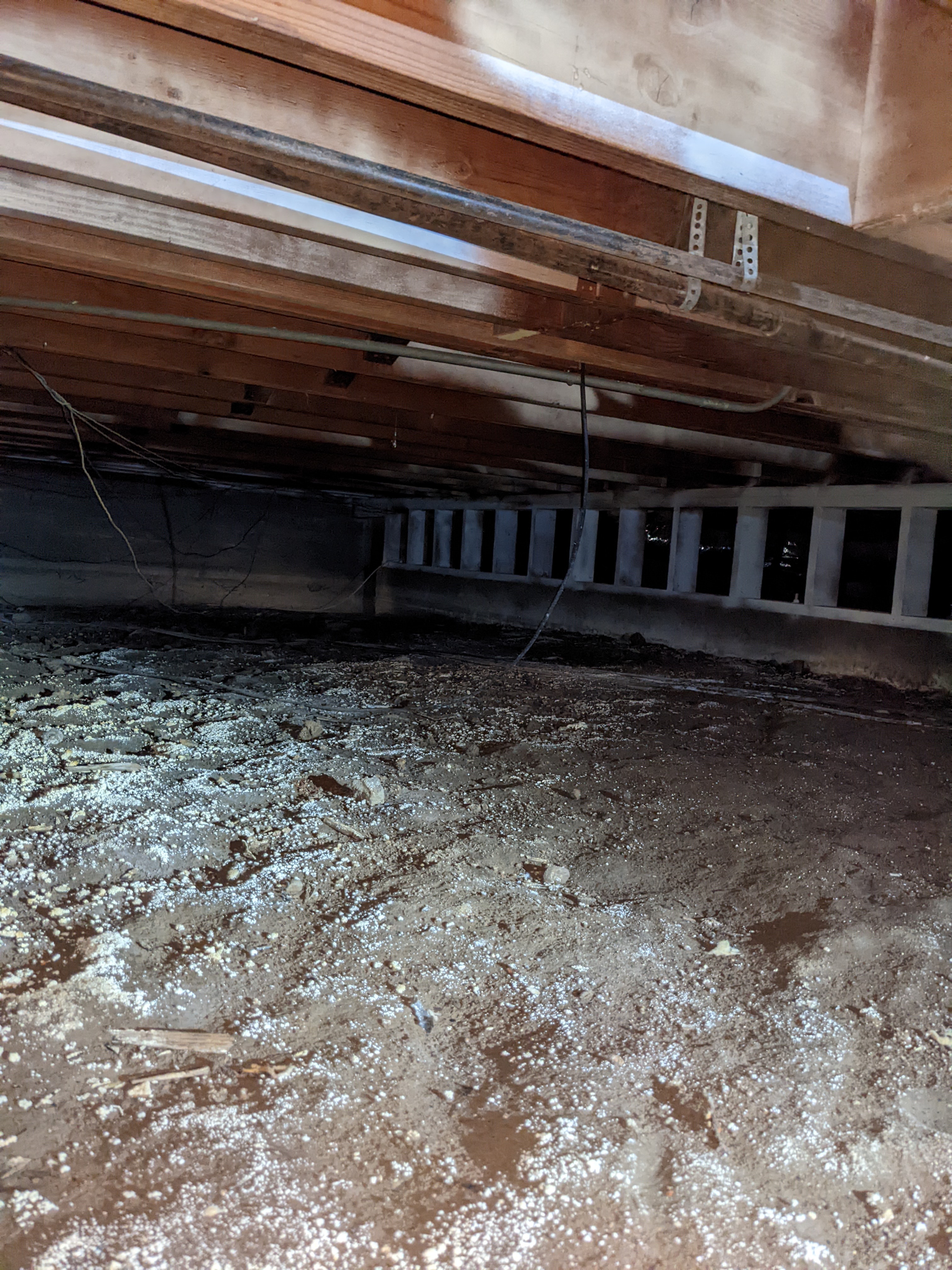 Sewage Cleanup Services