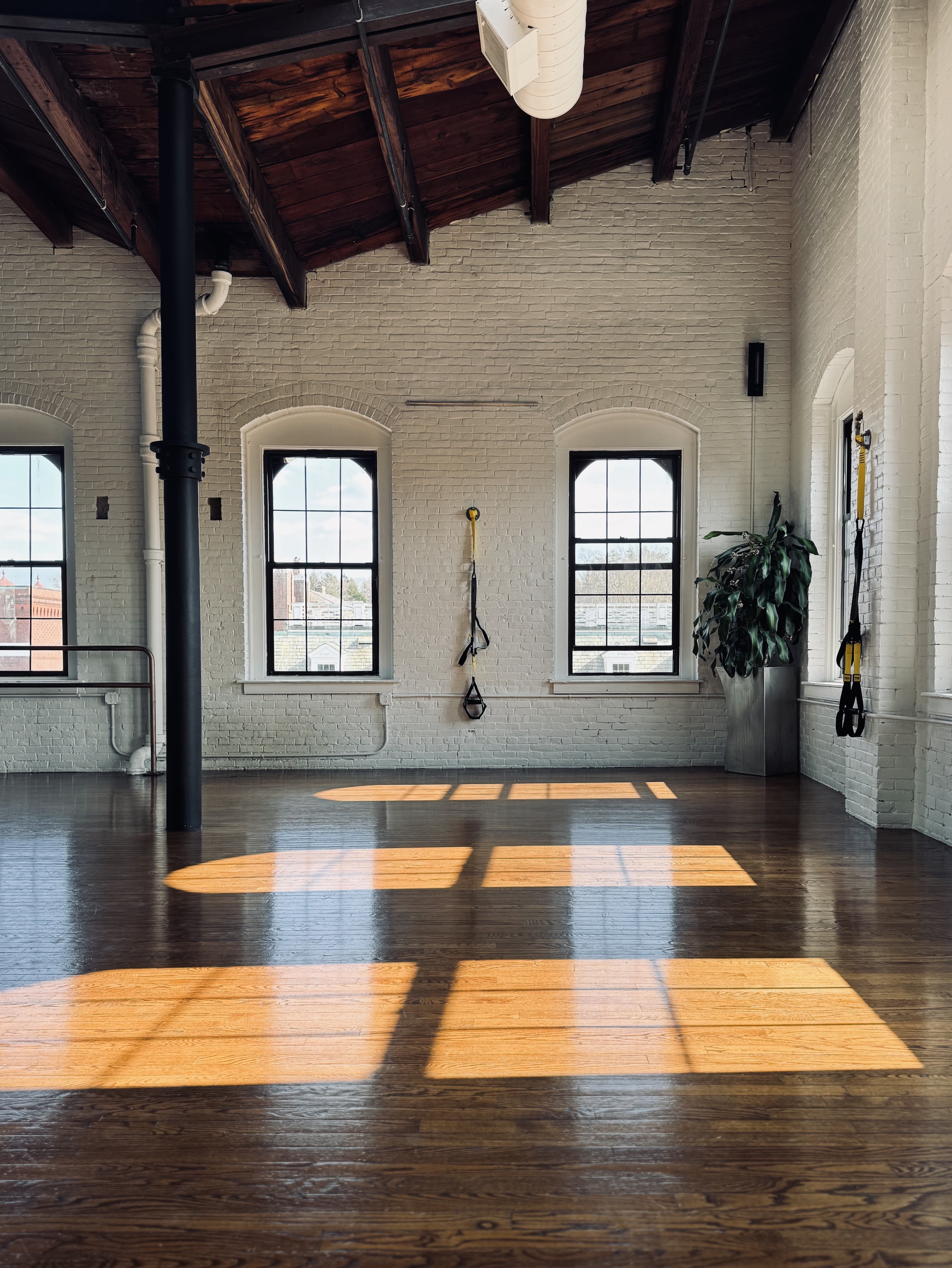 The Studio