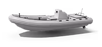Rib Boat