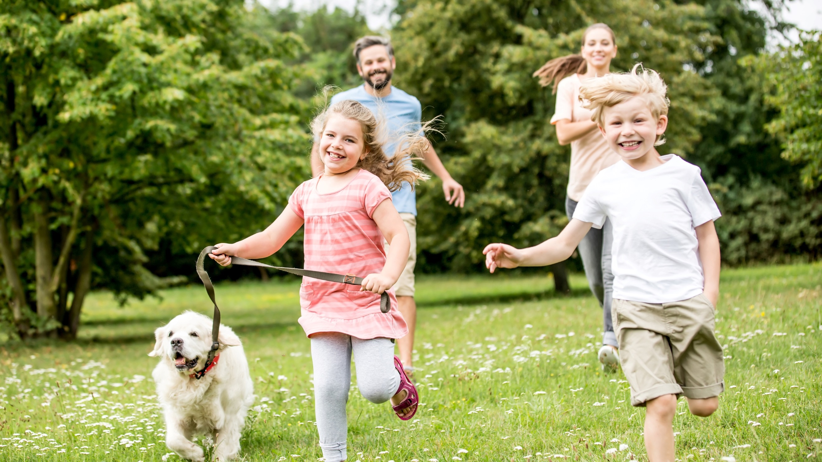 Importance of International Wills for Expatriates