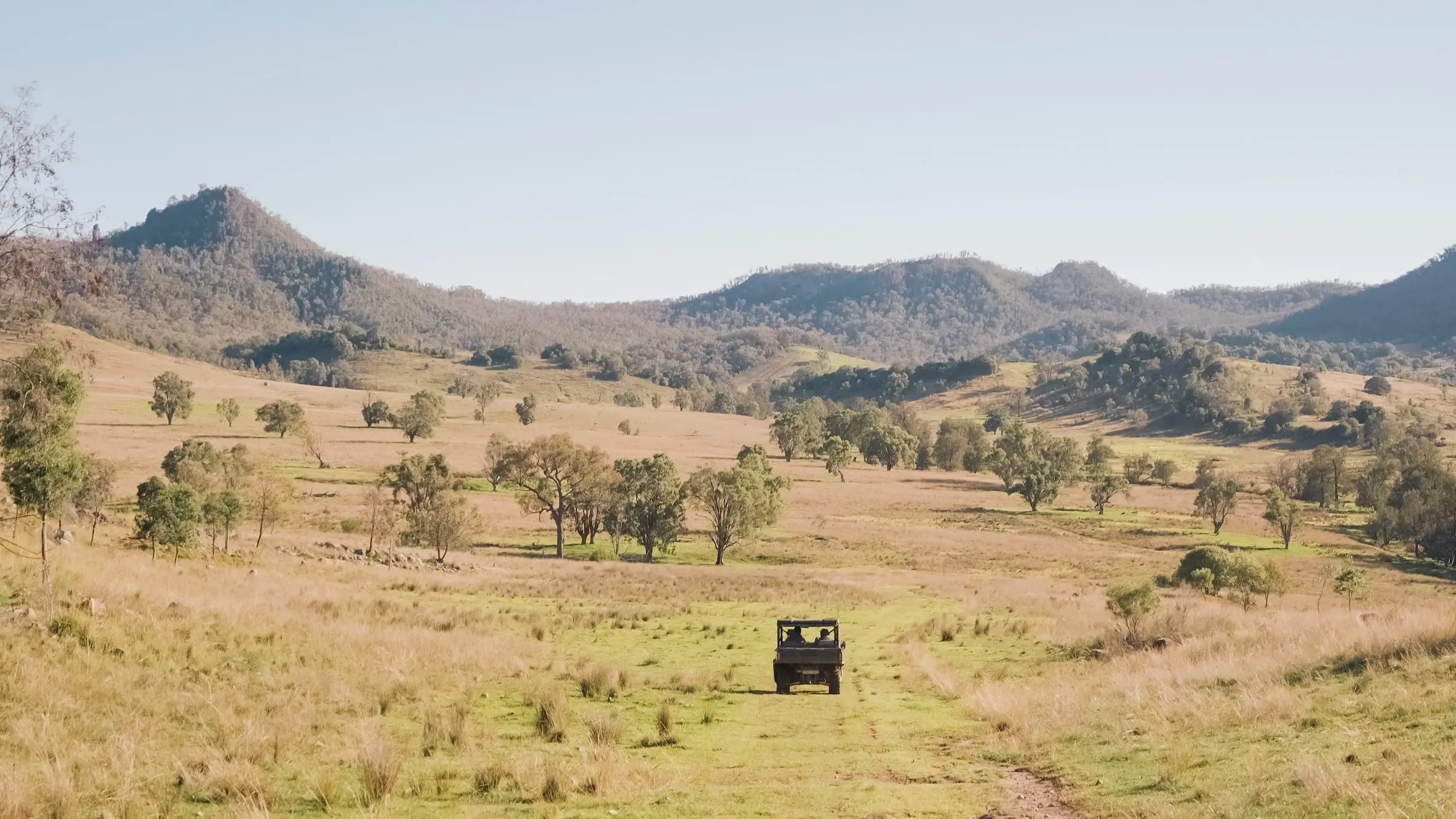 Discover image cropped