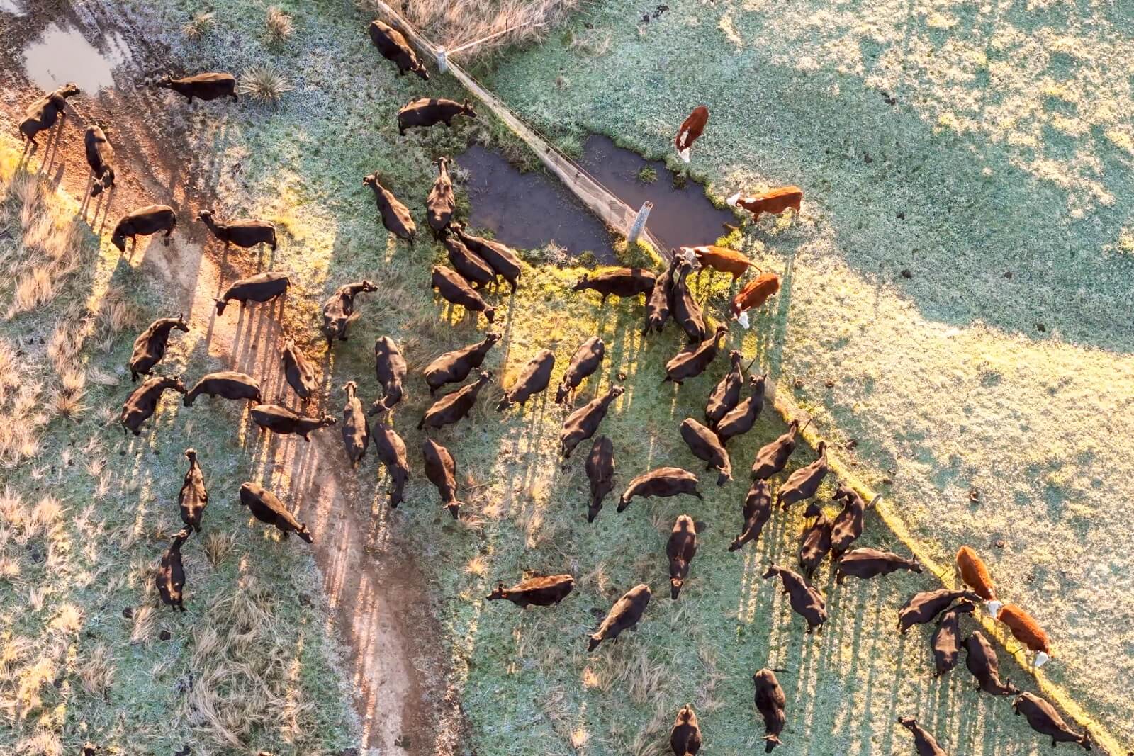 Mission statement image