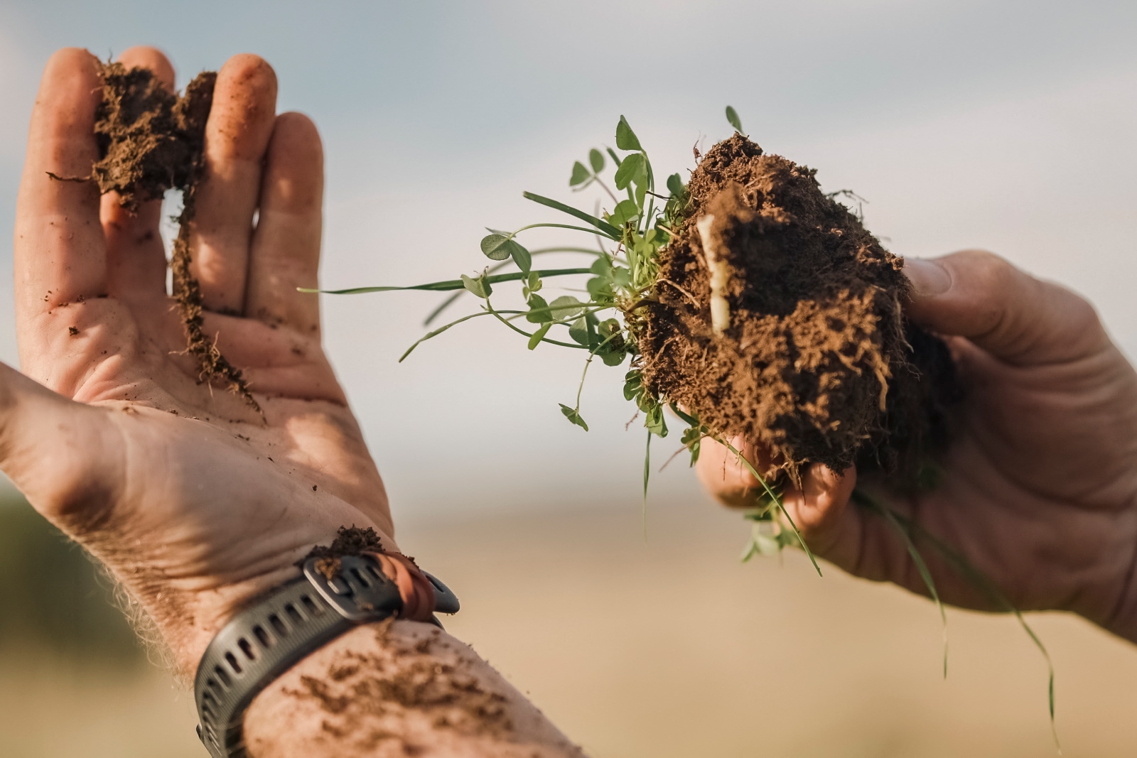 Purpose statement image