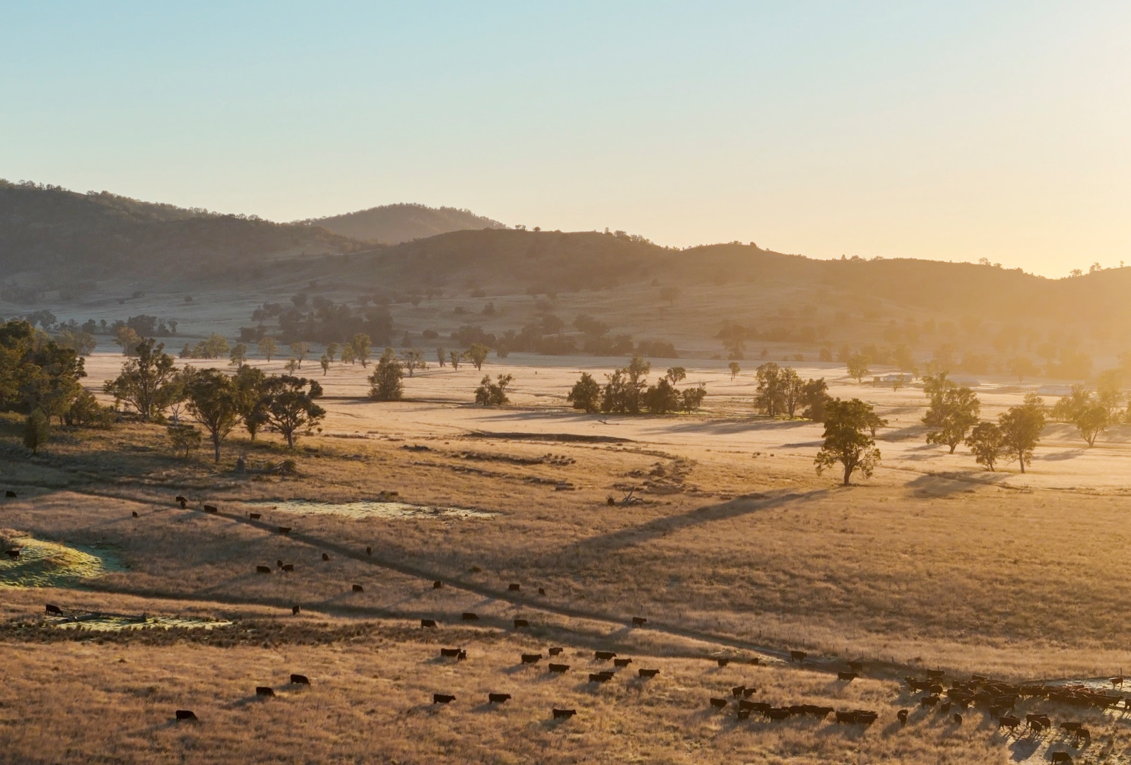 Vision statement image