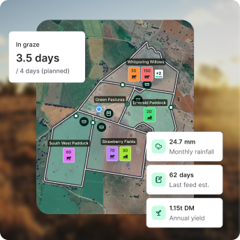 Digital mapping tool