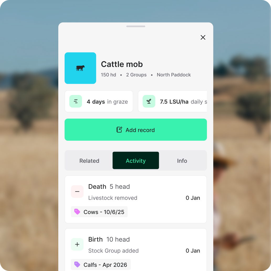 Mob management interface
