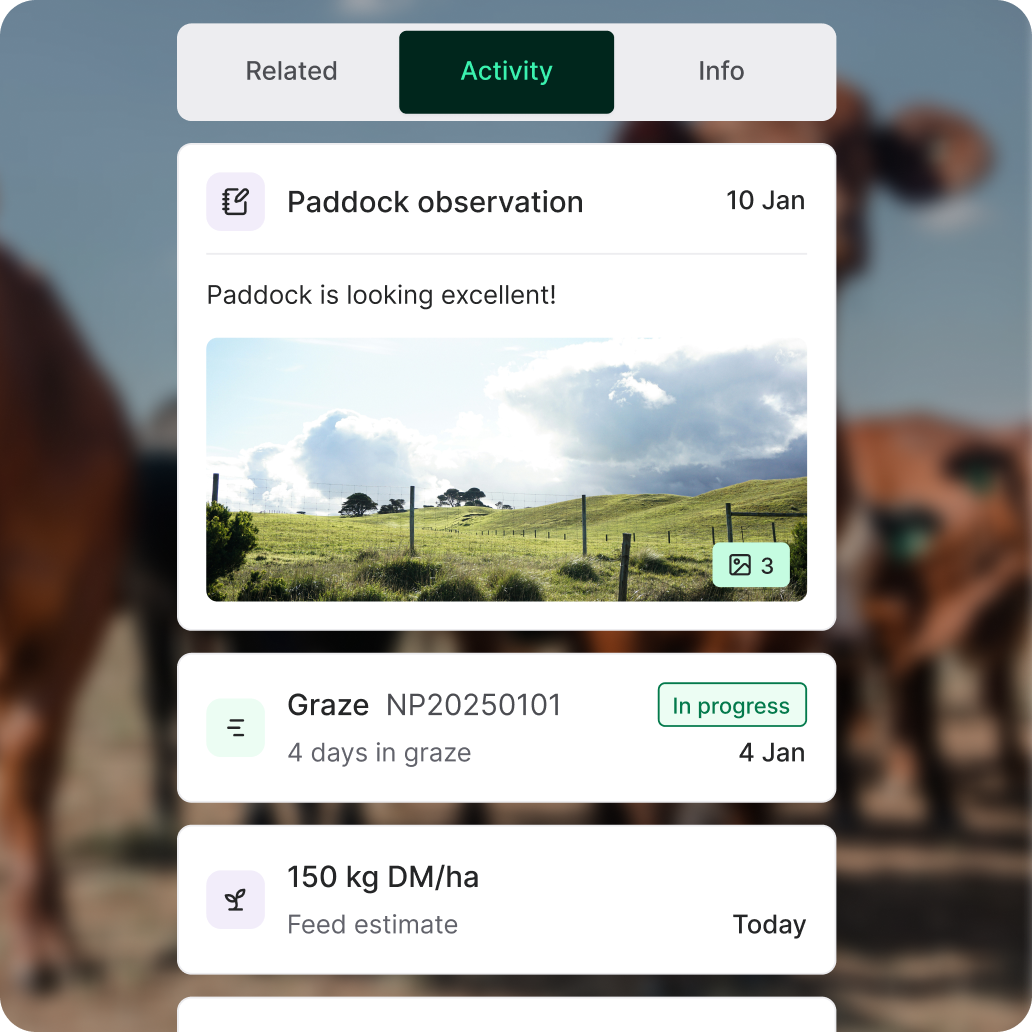 Paddock records feature