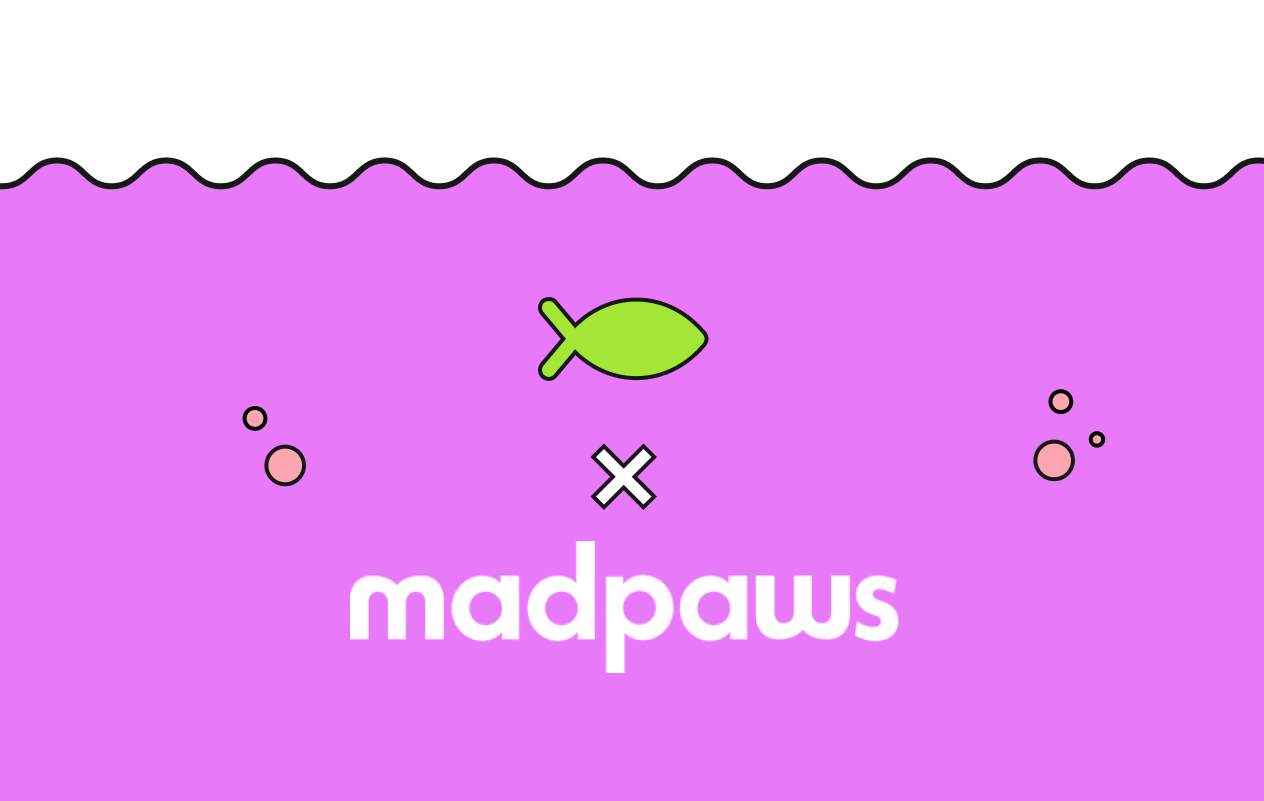How Madpaws saw 636% ROI within 5 months