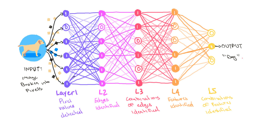 The Anatomy Of A Neural Network