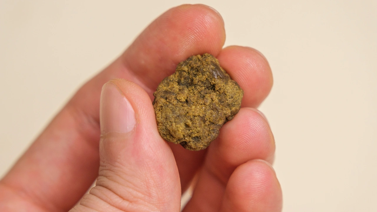 Hash CBD dans les mains d'un homme