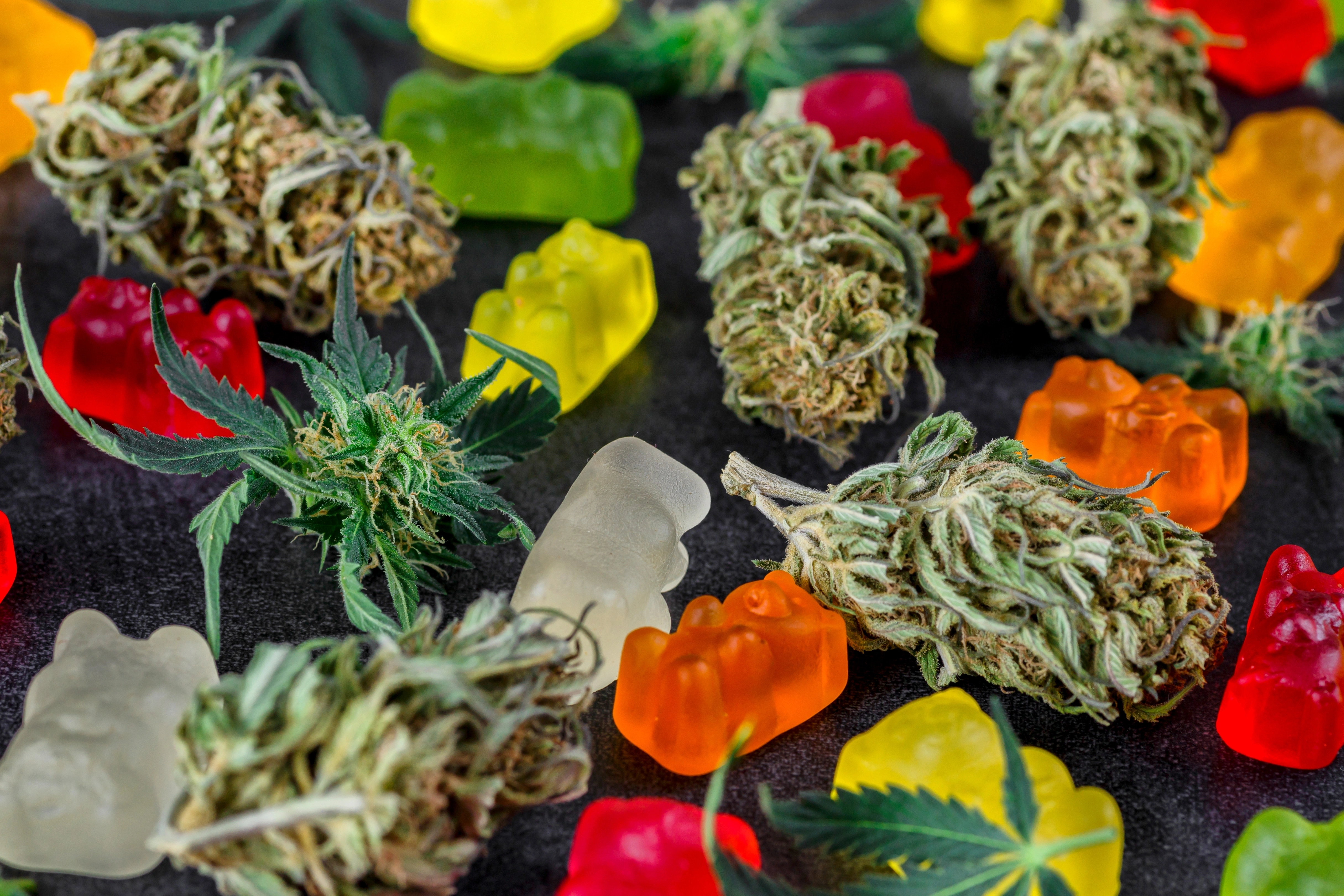 Gummies à base de CBD avec des fleurs de CBD