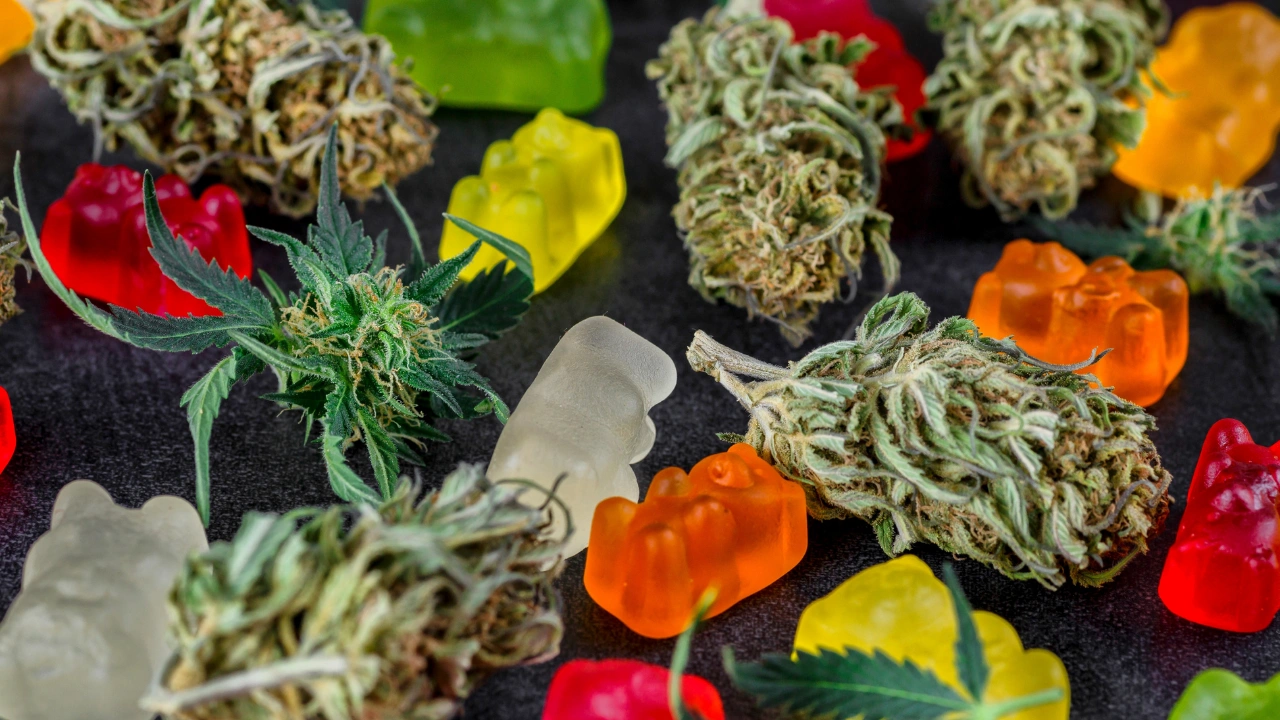 Gummies à base de CBD avec des fleurs de CBD
