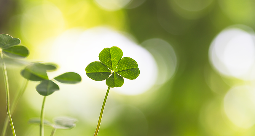 Is there luck involved in admissions?