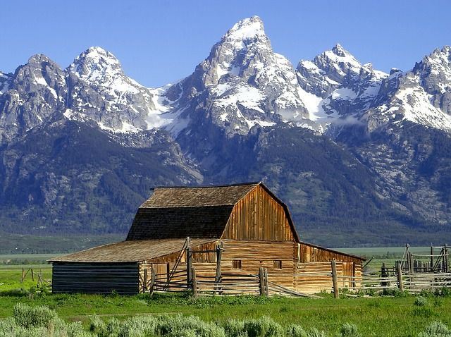 The Hay Is In The Barn