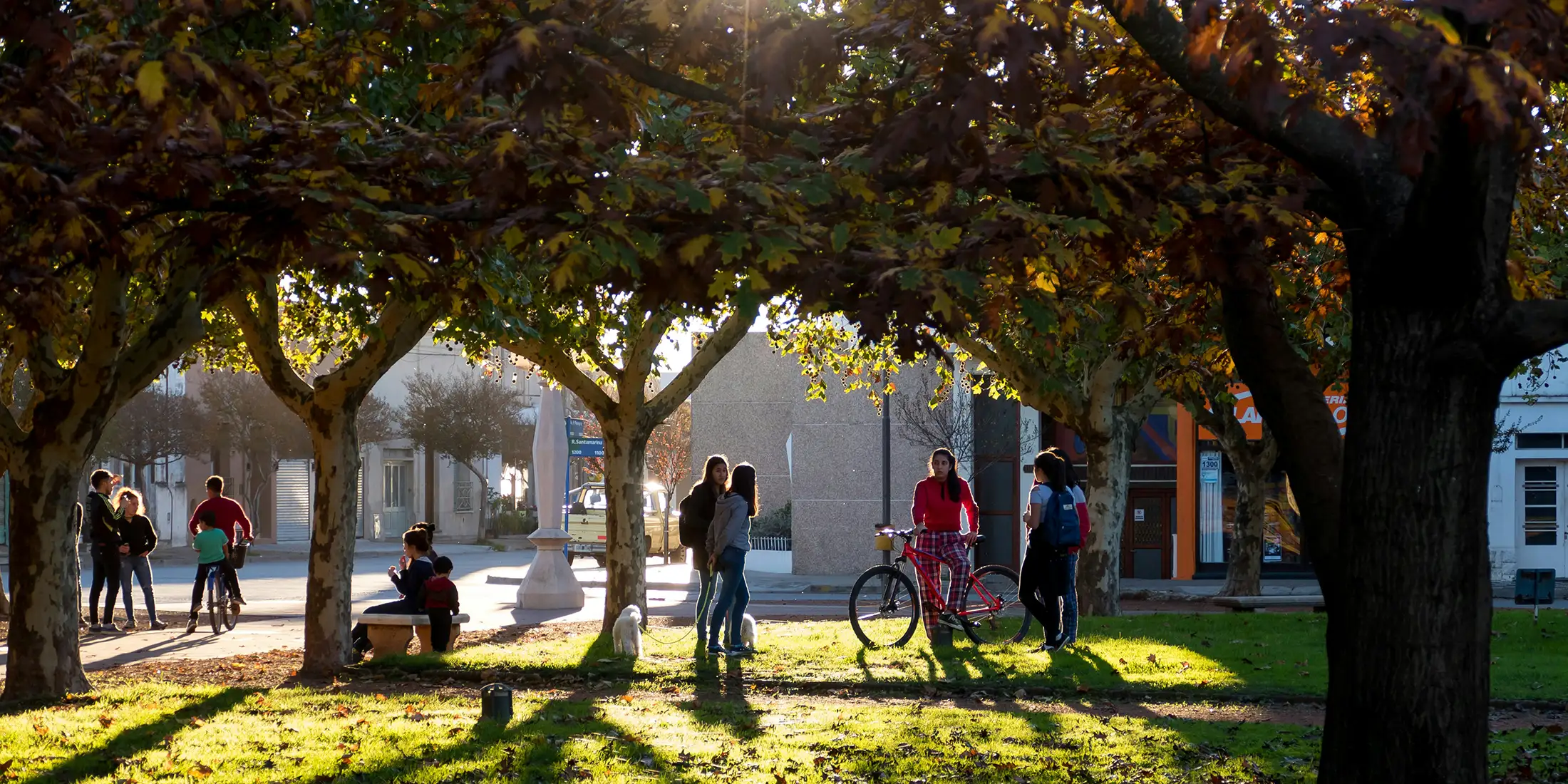 Universities, Colleges, and Law Schools Plan to Be Open On Campus This Fall