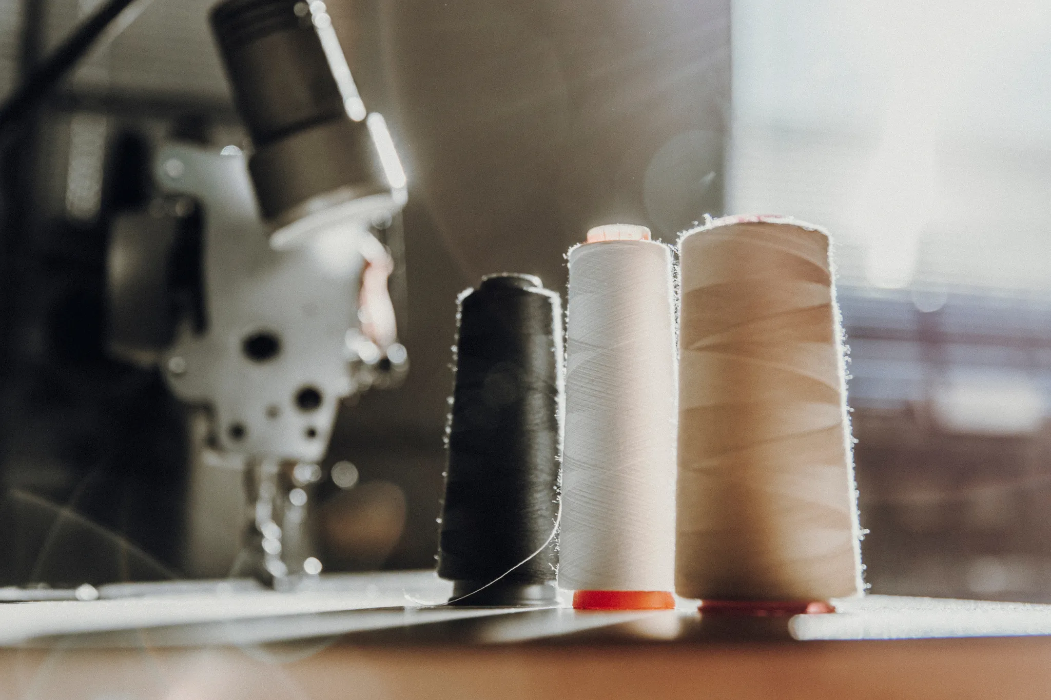 Karin und Elke Schweissthal Bild