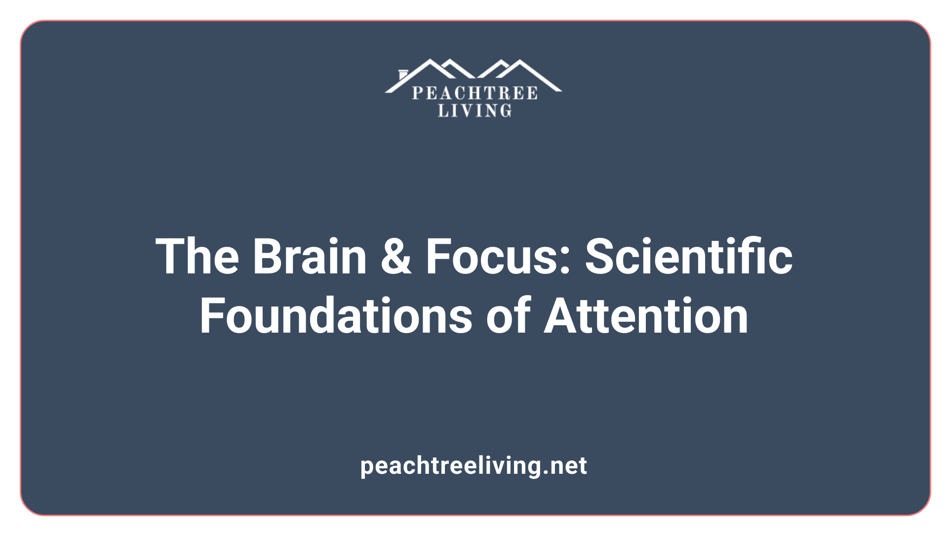 The Brain &amp; Focus: Scientific Foundations of Attention