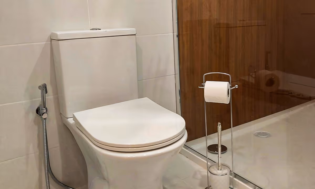 Casa de banho moderna do apartamento Elegance II no Fundão com sanita e duche envidraçado