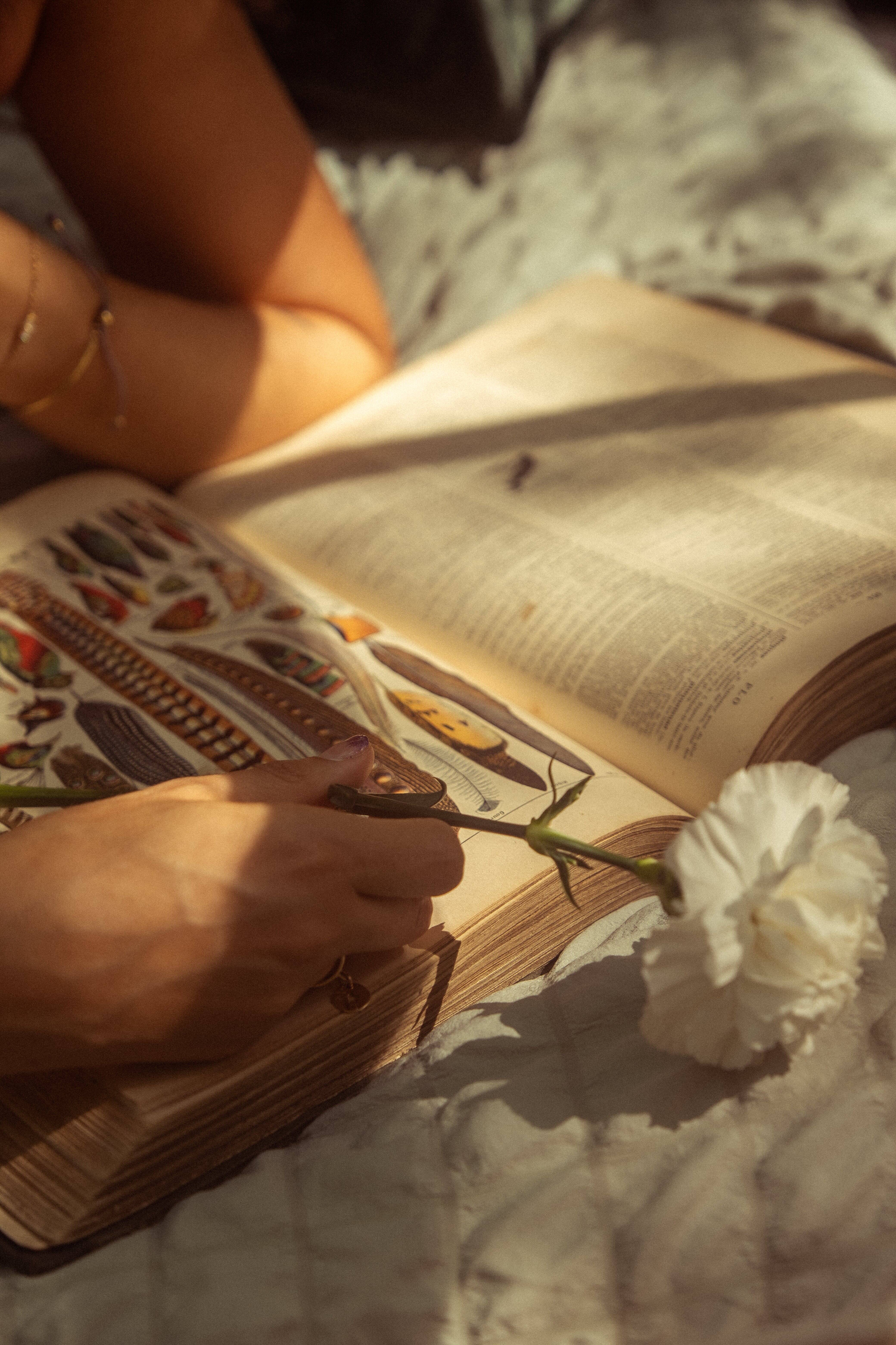 La belle au bois dormant