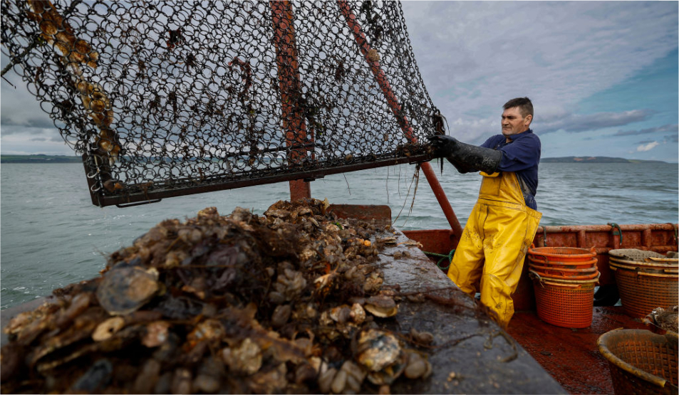 Vatican highlights vital work of fishermen on World Fisheries Day