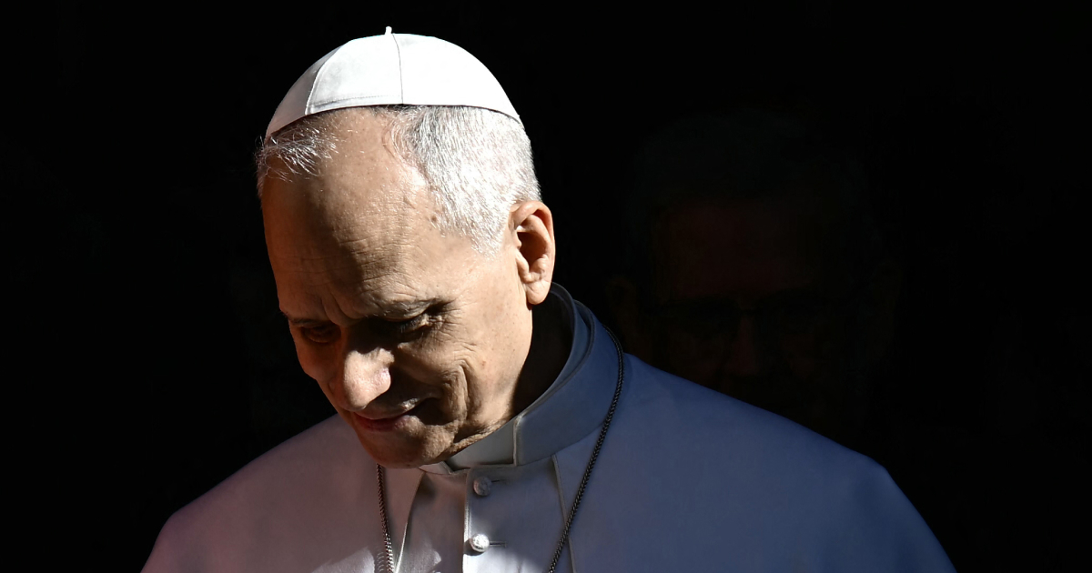 US ambassador to the Holy See discusses immigration tensions and US–Vatican relations