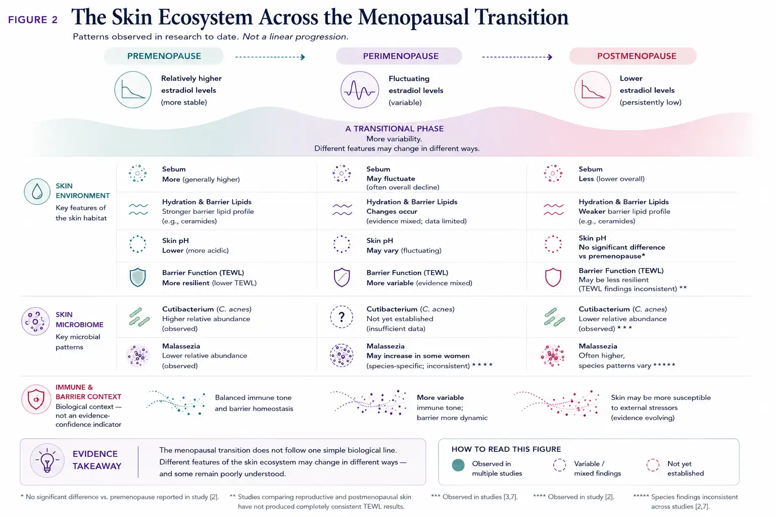BeMediq infographic comparing the skin environment and microbiome across premenopause, perimenopause and postmenopause, including sebum, hydration, barrier lipids, skin pH, Cutibacterium and Malassezia.
