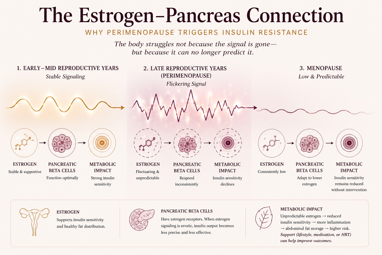 BeMediq Journal infographic: The Estrogen-Pancreas Connection — why perimenopause triggers insulin resistance. Three hormonal phases: early reproductive years with stable estrogen and strong insulin sensitivity; perimenopause with fluctuating estrogen causing inconsistent pancreatic beta cell response and declining insulin sensitivity; menopause with consistently low estrogen where beta cells adapt but insulin sensitivity remains reduced without intervention. Support through lifestyle, medication, or HRT can help improve outcomes.