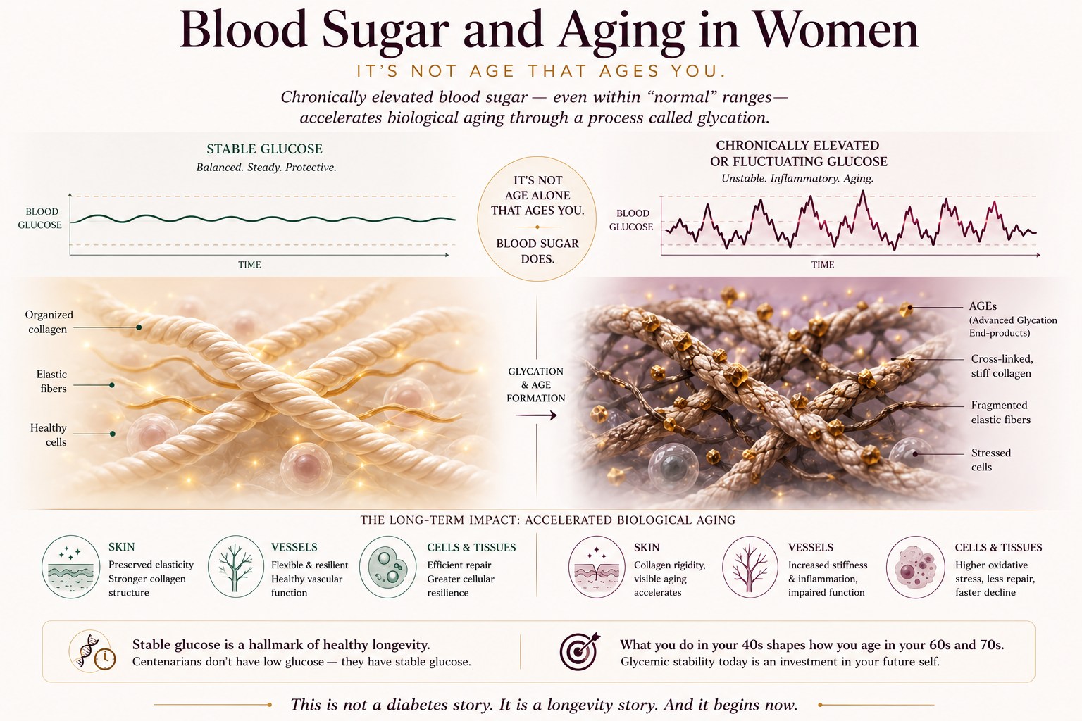 BeMediq Journal infographic: Blood Sugar and Aging in Women — showing the glycation process and its long-term impact. Stable glucose preserves organized collagen, elastic fibers, and healthy vascular function. Chronically elevated or fluctuating glucose triggers glycation and AGE formation, leading to cross-linked stiff collagen, fragmented elastic fibers, increased inflammation, and accelerated cellular decline. Centenarians share one metabolic characteristic: stable glucose, not low glucose. Closing: This is not a diabetes story. It is a longevity story. And it begins now.